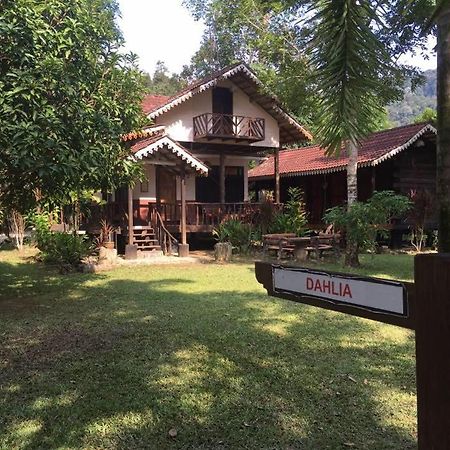 Rustic Chalet - Dahlia N Mawar At Sedim Vista Kulim Eksteriør bilde