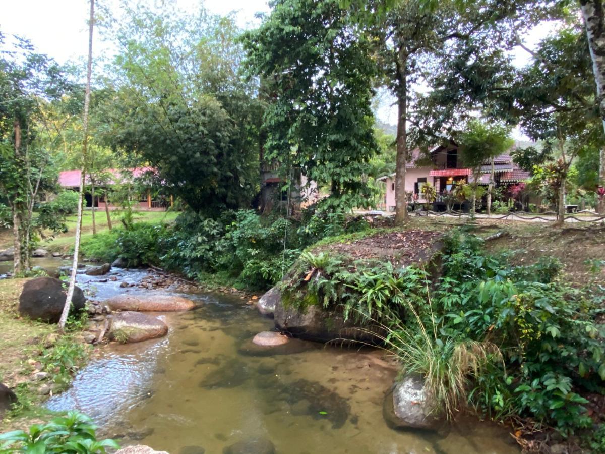 Rustic Chalet - Dahlia N Mawar At Sedim Vista Kulim Eksteriør bilde